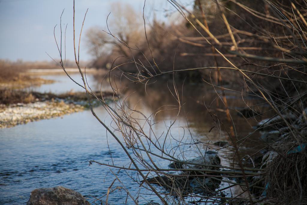 Al Glorioso Piave Otel Maserada sul Piave Dış mekan fotoğraf